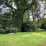 Gouden Hert: Relaxen In Comfort! #otterlo #hogeveluwe Tatil Evi Otterlo