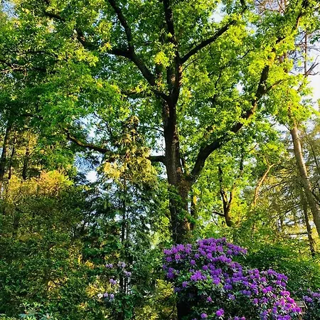 Σπίτι διακοπών Gouden Hert: Relaxen In Comfort! #otterlo #hogeveluwe Otterlo