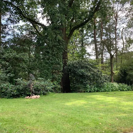 Gouden Hert: Relaxen In Comfort! #otterlo #hogeveluwe Σπίτι διακοπών Otterlo