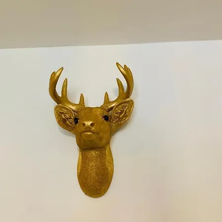 Gouden Hert: Relaxen In Comfort! #otterlo #hogeveluwe Prázdninový dům