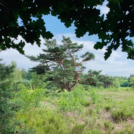 Gouden Hert: Relaxen In Comfort! #otterlo #hogeveluwe Holiday home *