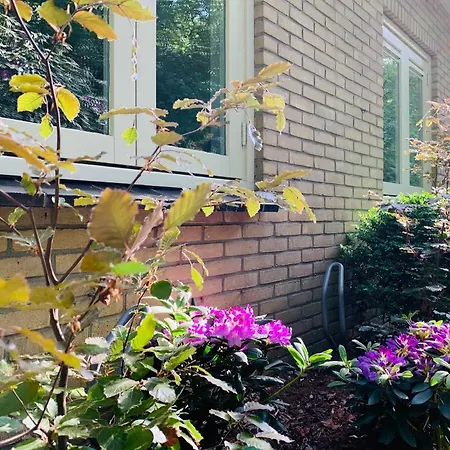 Holiday home Gouden Hert: Relaxen In Comfort! #otterlo #hogeveluwe *