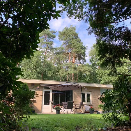 Gouden Hert: Relaxen In Comfort! #otterlo #hogeveluwe *