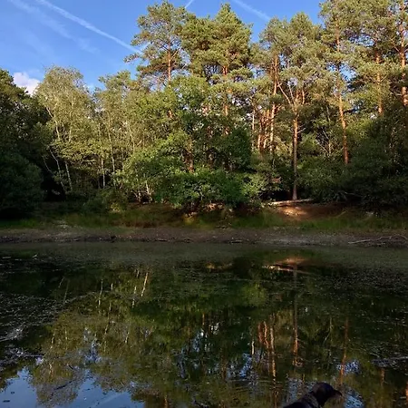 Gouden Hert: Relaxen In Comfort! #otterlo #hogeveluwe *
