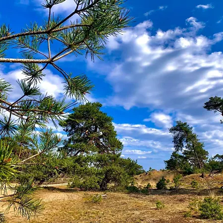 Gouden Hert: Relaxen In Comfort! #otterlo #hogeveluwe Сasa de vacaciones *
