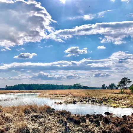 Gouden Hert: Relaxen In Comfort! #otterlo #hogeveluwe *