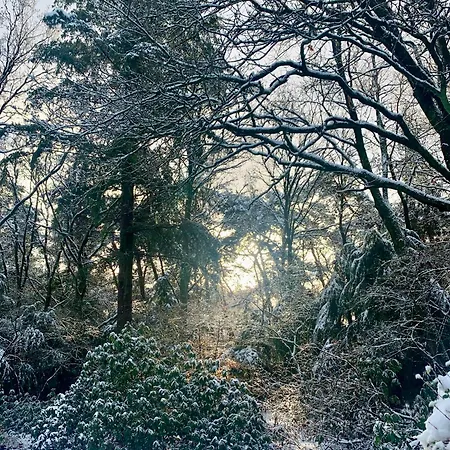 Сasa de vacaciones Gouden Hert: Relaxen In Comfort! #otterlo #hogeveluwe *