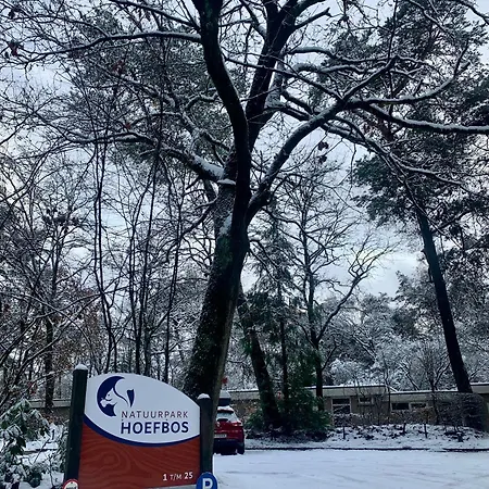 Gouden Hert: Relaxen In Comfort! #otterlo #hogeveluwe *