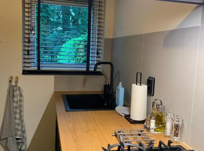 Dom wakacyjny Gouden Hert: Relaxen In Comfort! #otterlo #hogeveluwe