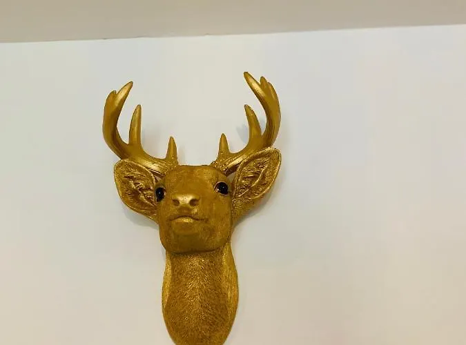 Gouden Hert: Relaxen In Comfort! #otterlo #hogeveluwe Dom wakacyjny