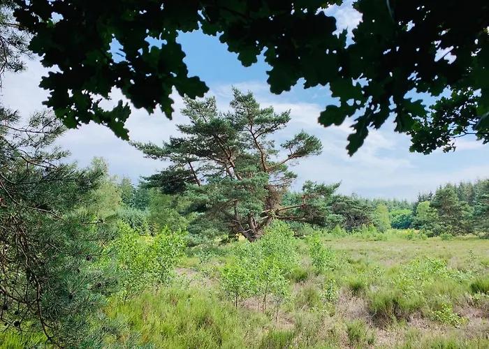 Gouden Hert: Relaxen In Comfort! #otterlo #hogeveluwe Hébergement de vacances *