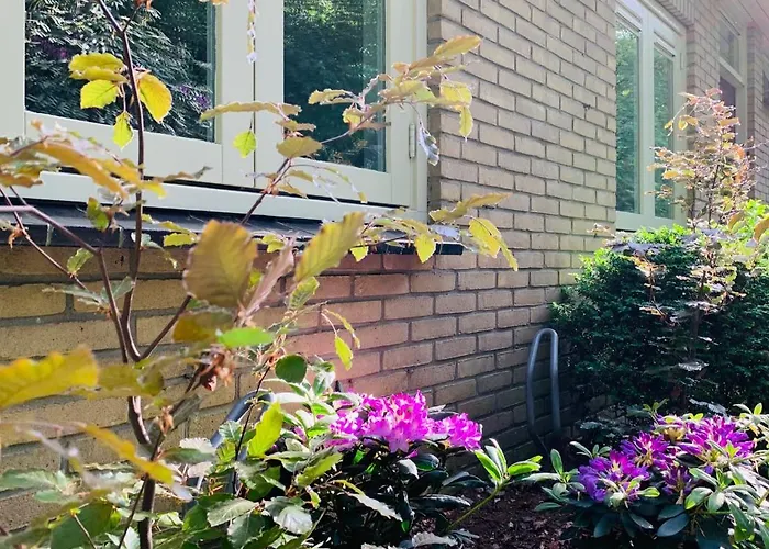 Dom wakacyjny Gouden Hert: Relaxen In Comfort! #otterlo #hogeveluwe *