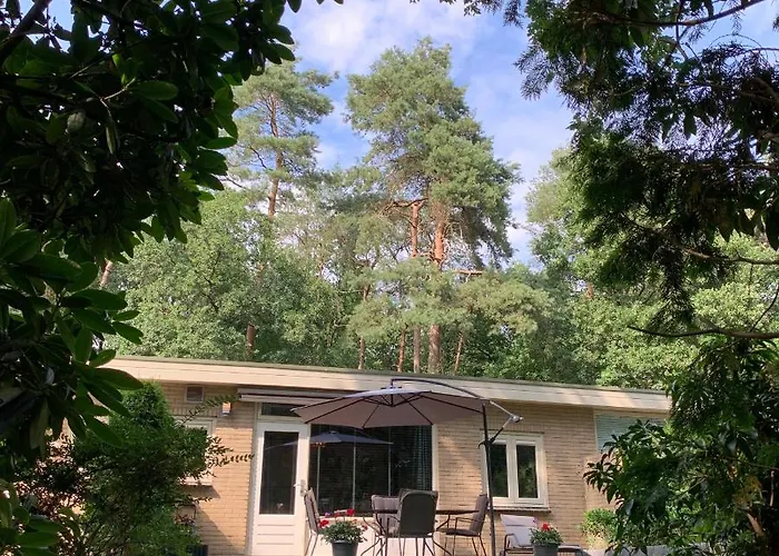 Gouden Hert: Relaxen In Comfort! #otterlo #hogeveluwe *