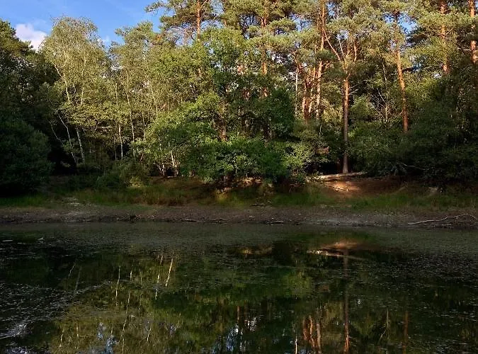 Gouden Hert: Relaxen In Comfort! #otterlo #hogeveluwe *