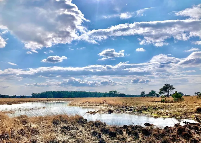 Gouden Hert: Relaxen In Comfort! #otterlo #hogeveluwe *