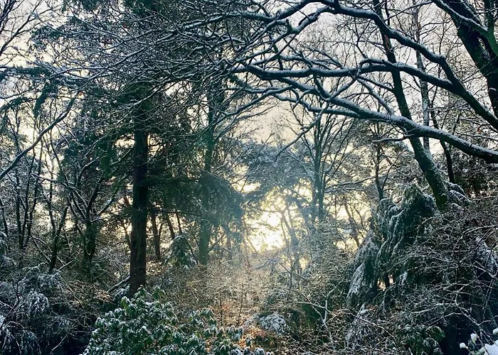 Сasa de vacaciones Gouden Hert: Relaxen In Comfort! #otterlo #hogeveluwe *