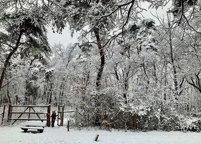 Сasa de vacaciones Gouden Hert: Relaxen In Comfort! #otterlo #hogeveluwe Otterlo