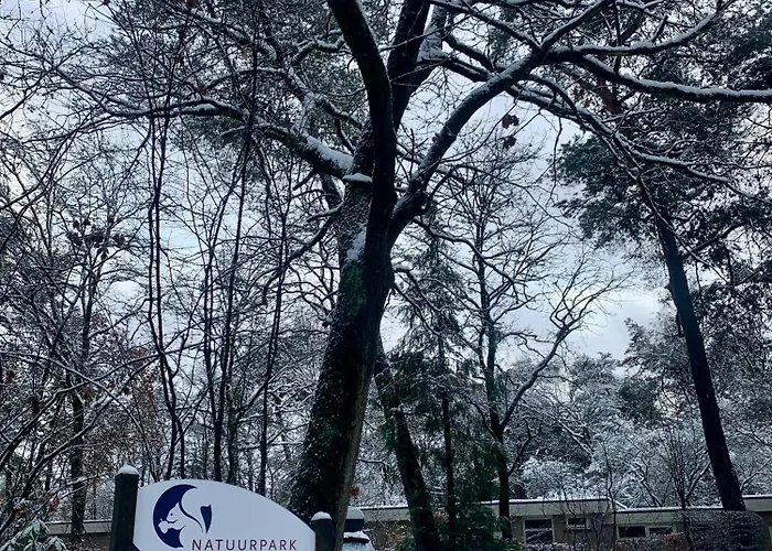 Gouden Hert: Relaxen In Comfort! #otterlo #hogeveluwe *