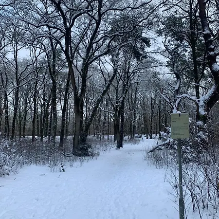Gouden Hert: Relaxen In Comfort! #otterlo #hogeveluwe