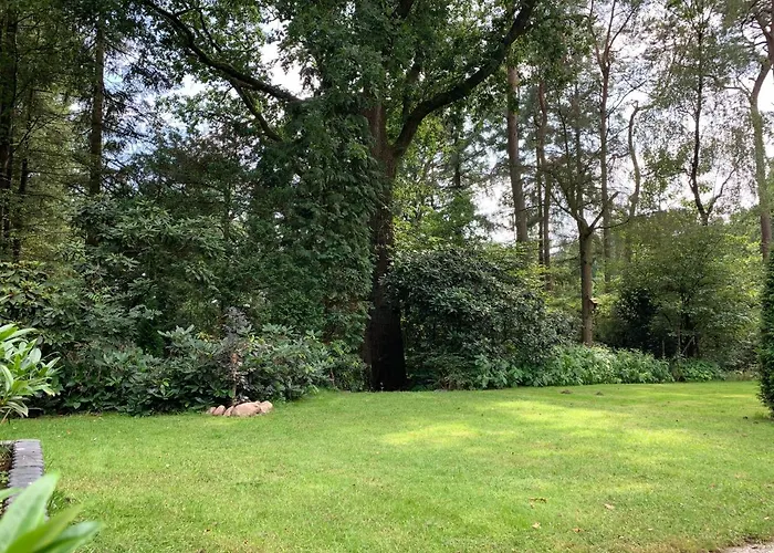 Gouden Hert: Relaxen In Comfort! #otterlo #hogeveluwe Prázdninový dům Otterlo