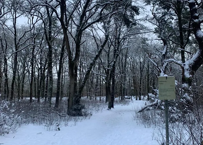 Gouden Hert: Relaxen In Comfort! #otterlo #hogeveluwe